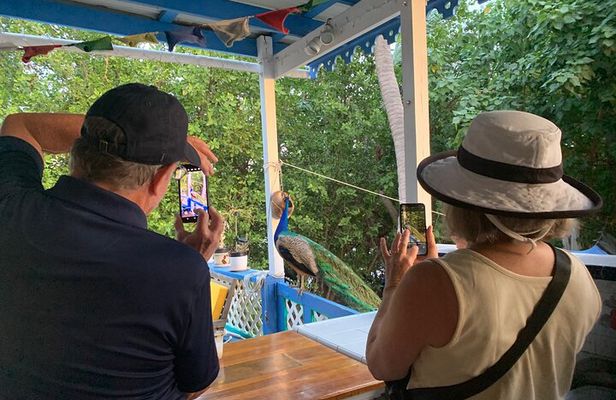Local Experience, St. John U.S. Virgin Islands Food Tour