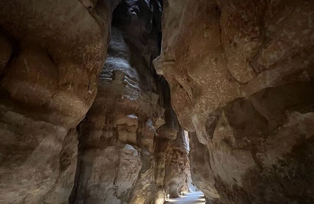 Al Ahsa Full city tour