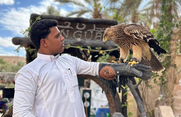 2 or 3 Days Siwa Oasis Experience( Private) (all inclusive)