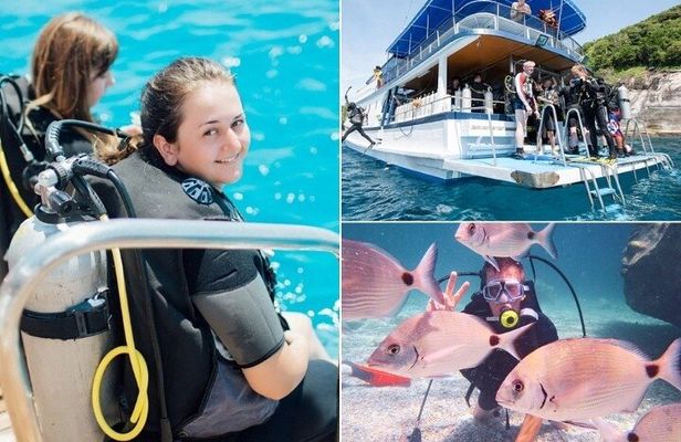 Scuba Diving in Marmaris and Icmeler with Lunch and Transfer