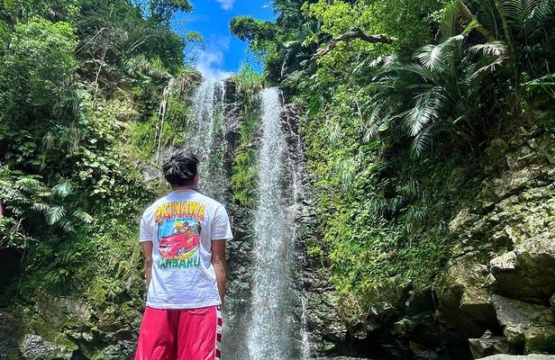 Private Okinawa Tour - 7 hours Pickup from anywhere in Okinawa