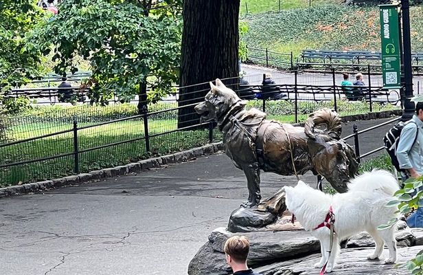 Pedicab 1 Hour Central Park Tour