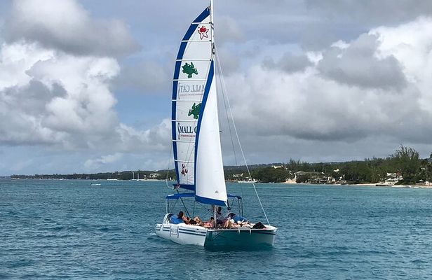 Barbados Snorkeling and Sailing Adventure for Small Groups
