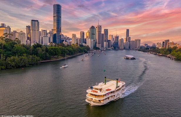 Brisbane Insights 4 Hour Tour