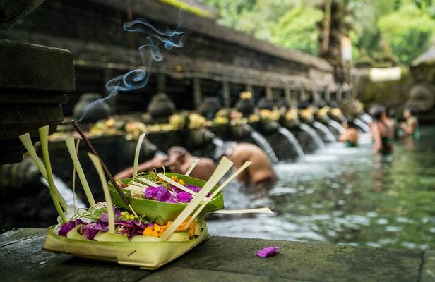 Ubud Highlights Rice Terraces, Temple, Waterfall & Monkeys forest