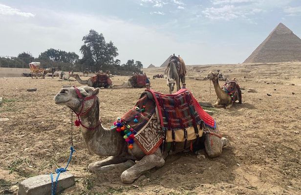 Private guided tour to Giza Pyramids Sphinx Memphis and Saqqara