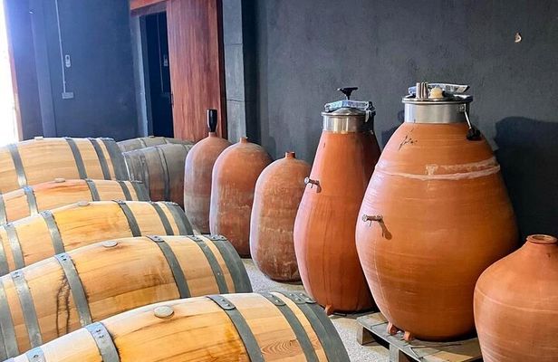 Tarragona Private Food and Wine Tour from Barcelona