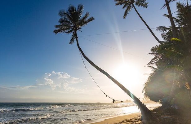 Southern Sri Lanka Day tour from Hambantota