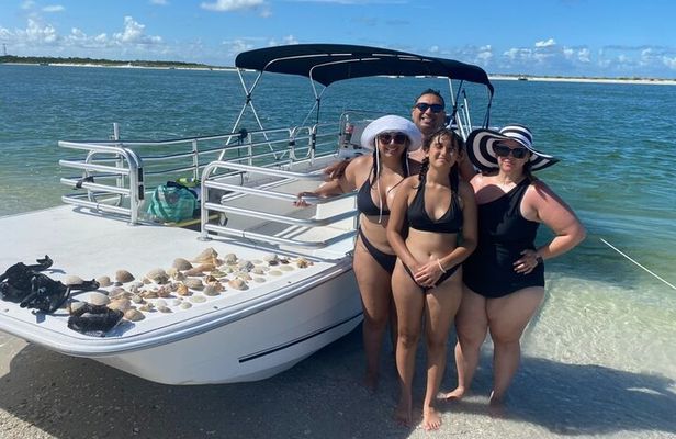 2.5 Hour Shell Key Island Adventure Including Dolphins And Shells
