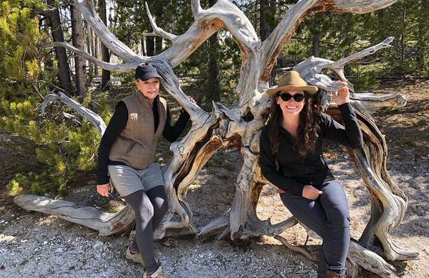 Hiking Tour: Hidden Gems | West Yellowstone | PRIVATE + Lunch
