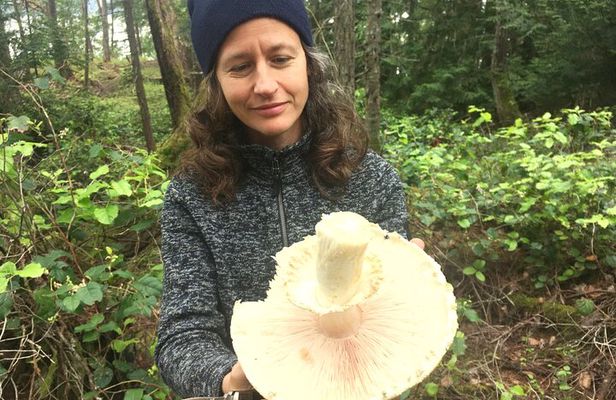 Wild Mushroom Foraging Class