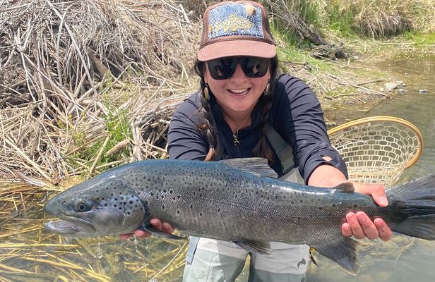 Guided Fly Fishing Float Trip | San Juan River