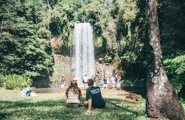 Cairns Adventure Package- 4 tours in 3 days!
