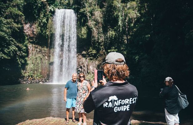 Cairns: Daintree Rainforest and Waterfall 2-Day Tours