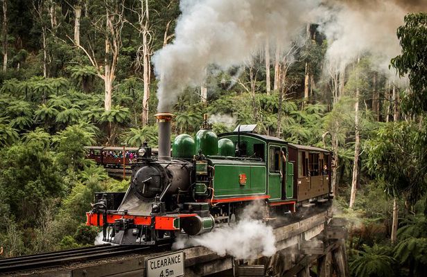 Puffing Billy Train and Phillip Island Penguin Parade Day Tour