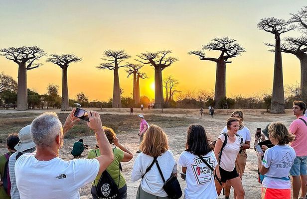 Best Price 7 Days Madagascar Family Tour with Baobabs Avenue