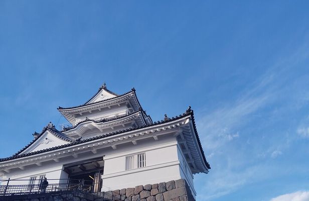 Odawara Castle Discovery of the Sengoku Samurai History