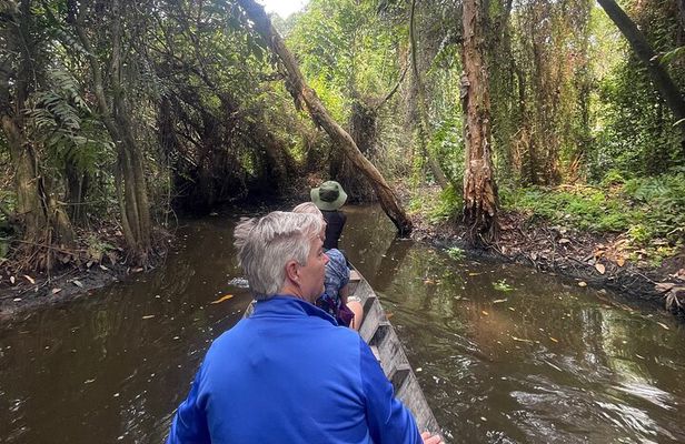Private Mekong Delta Tour: Cai Be Village and Cajuput Forest