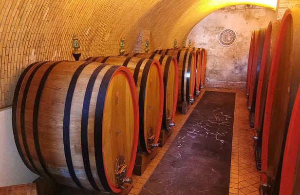 Etna Wine and Randazzo town from Taormina 