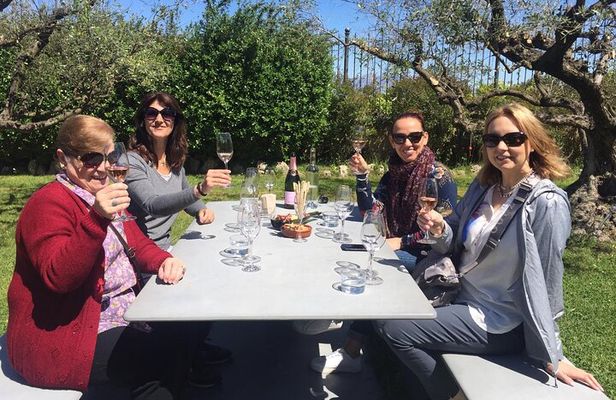 Montserrat,Vineyard, Wine Tasting Small Group Tour & Hotel Pickup