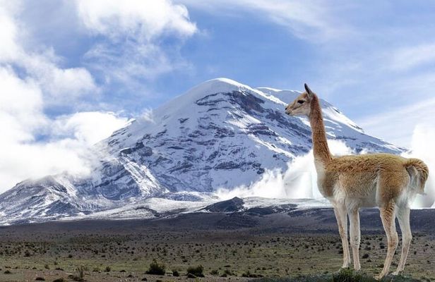 Between the Clouds A Journey to Chimborazo