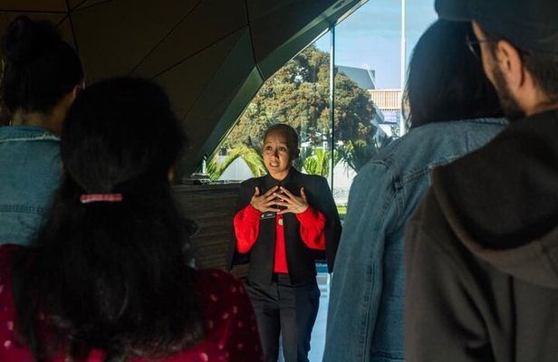 Auckland Urban Māori Experience - Small Group Tour In Auckland