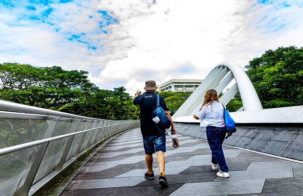 Singapore Mount Faber, Henderson Waves Scenic Walking Guided Tour