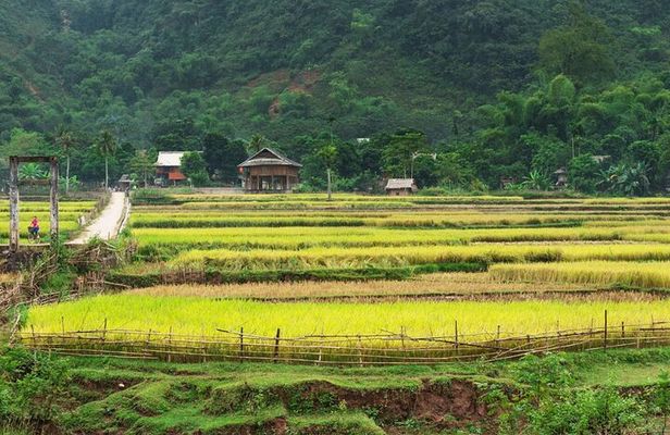 3-Day Private Authentic Tour of Mai Chau & Pu Luong from Hanoi