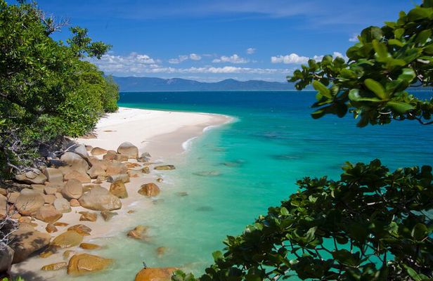 Half Day Fitzroy Island Return Ferry Trip – Departing 1.30pm