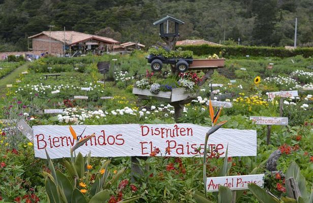 Flower Farm & Silletas Tour in Santa Elena Medellin