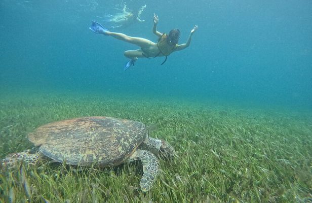 Catamaran with Snorkeling Free Bar and Free Time in Isla Mujeres