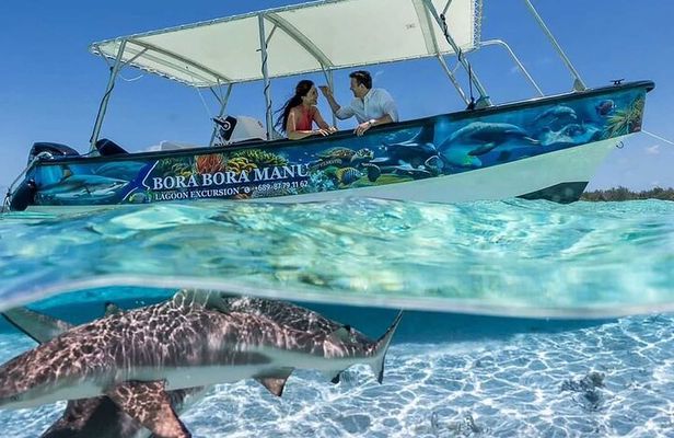 Bora Bora Half Day Manu Lagoon Excursion