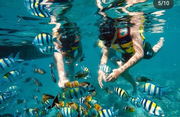 Island Hopping Gili Asahan, Gede, Rengit, Layar and Goleng