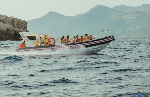 8 Hour Private Sea Safari Speedboat Dubrovnik