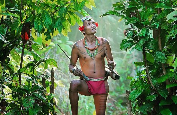 3 Days 2 Nights Siberut Jungle Trekking Mentawai Experience