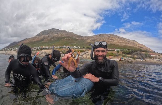 Snorkeling the African Sea Forest in Cape Town