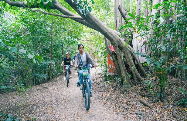 Bangkok Green Oasis Nature Bike Tour