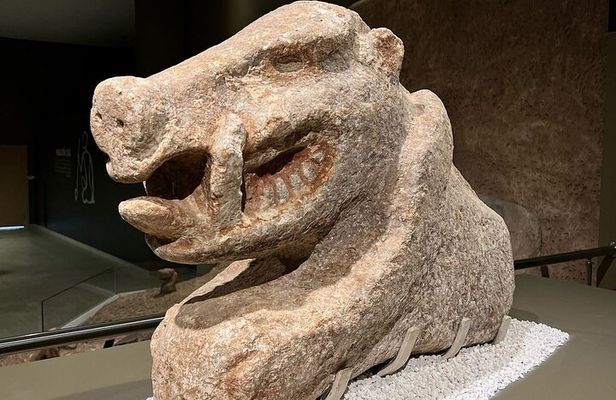 Day Trip to Gobeklitepe with Flight from İstanbul