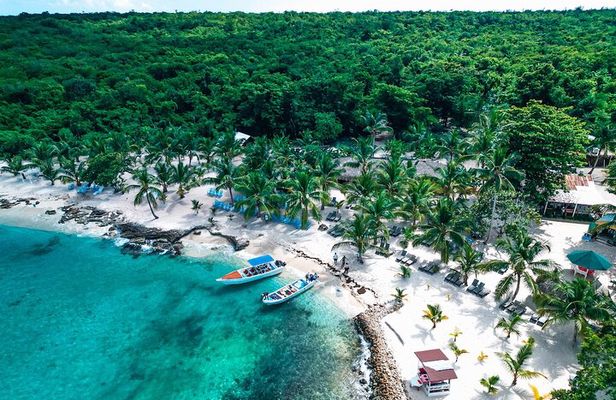 Punta Cana Speed Boat : Saona Island, Turtle Snorkeling & Lunch