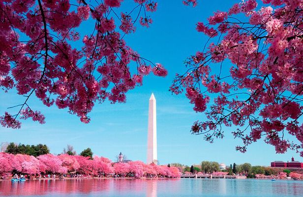 National Mall Tour with 10+ Stops, Boat Cruise, Entry Tickets