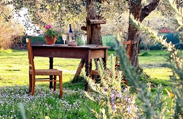 Dining Experience in a 13th-Century Monastery in Florence