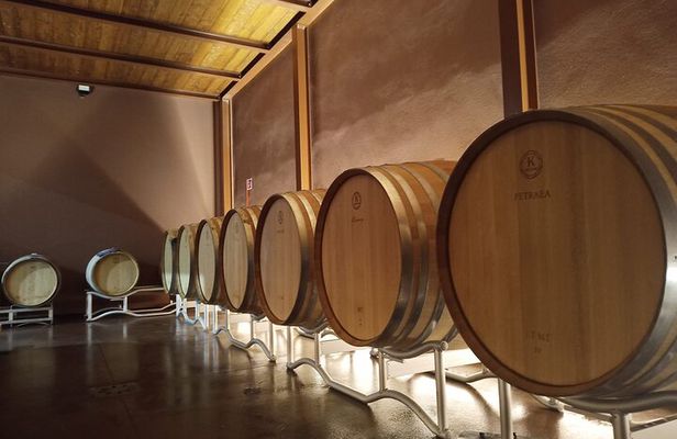 Volterra wines, sensory emotions of organic farming