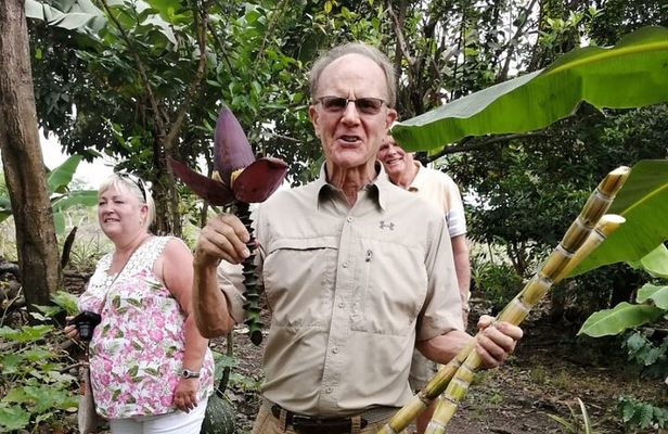 Finca Cocoa and Tropical Fruit with Free Typical Cooking Class