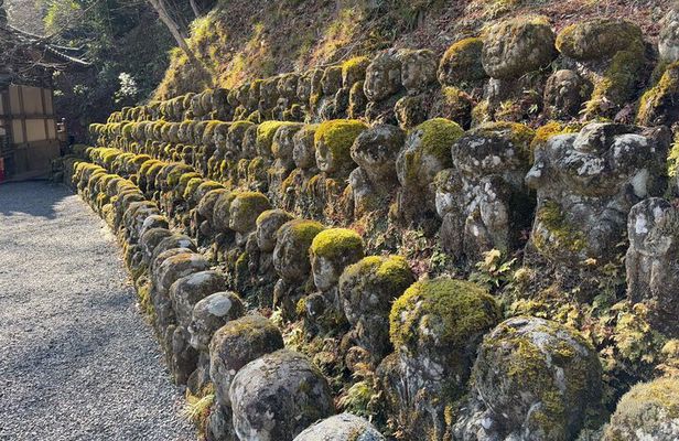 Kyoto Guided Walking Tour Discover a Different Side of Arashiyama