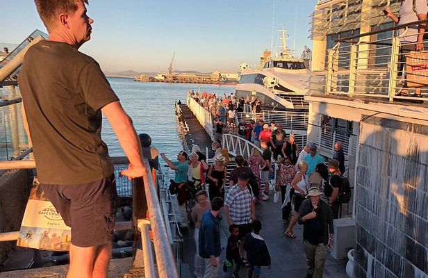 Half Day Experience In Robben Island From Cape Town
