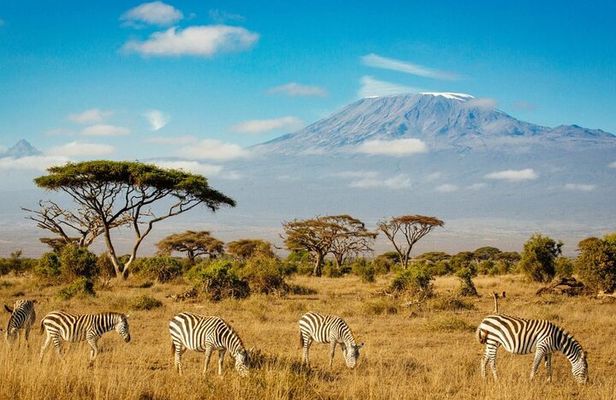 7-Day Masai Mara, Nakuru, Naivasha & Amboseli Kenya Budget Safari