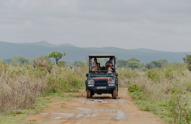 1-Day Mikumi National Park Fly-In Safari from Zanzibar