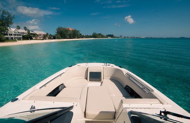Private Half-Day Charter to StingrayCity,StarfishPoint&Snorkeling