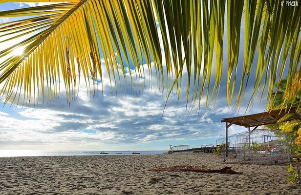 V.I.P Escape 3-North Caribbean Beach & award-winning rums
