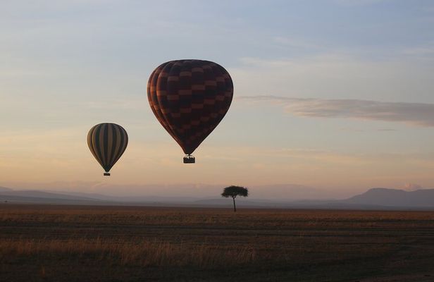5 Day Safari Explore Masai Mara, Lake Naivasha and Nakuru
